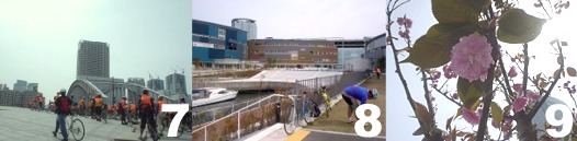 �o�C�V�N������C�h2007