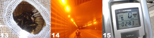 �V���O���E�X�s�[�h