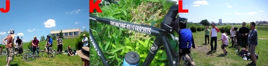 �V���O���E�X�s�[�h