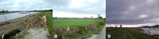 �`��g���C��