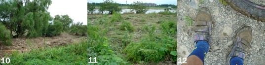 �`��g���C��