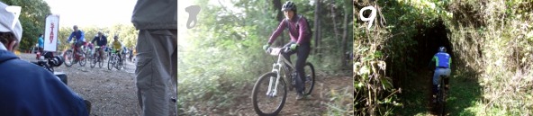 08�c�[���h����