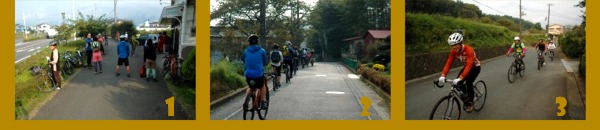 �`��s�[�i�c���C�h 555nat.com