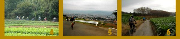 �`��s�[�i�c���C�h 555nat.com