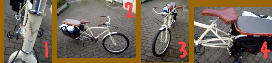 �����O���[���o�C�N�u���f�B�b�V���v555nat.com