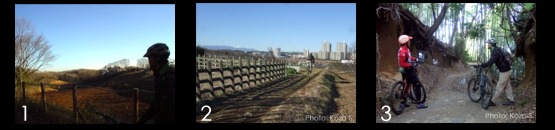 �����u�˥�T�������I�t���[�h��T�C�N�����O