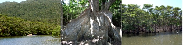 ���\�� �}���O���[�u