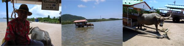 ���\�� ����