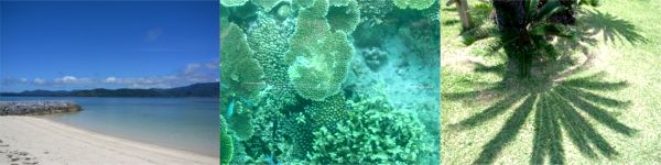 ���\�� ����̎X���