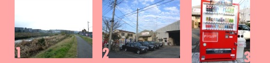 �{���_�����O�W���E�v���W�F�N�g 555nat.com